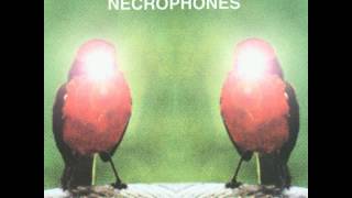 Lungfish  Necrophones 2000 Full Album [upl. by Tosch]