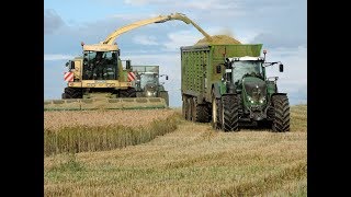 Lohnunternehmen Blunk in der GPS  Ernte  Krone Big X 1100  Fendt Traktoren [upl. by Notsek]