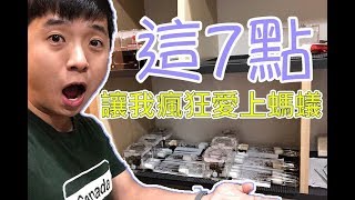 【這7點讓我瘋狂愛上螞蟻】螞蟻知識與常識系列：我為什麼會喜歡螞蟻 [upl. by Sathrum]