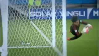 Guillermo OCHOA Best Saves Ever HD [upl. by Renado]