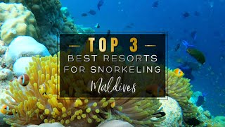 SNORKELING IN THE MALDIVES 2022 🐠🦈 The 3 Best Resorts with INSANE House Reefs to Snorkel 4K UHD [upl. by Nay133]