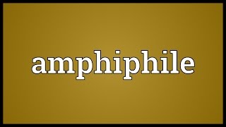 Amphiphile Meaning [upl. by Neelyad]