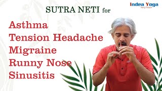 Sutra Neti for Sinus  Migraine  Tension Head Ache  Running Nose  Neti Kriya Yoga [upl. by Nnaycart]