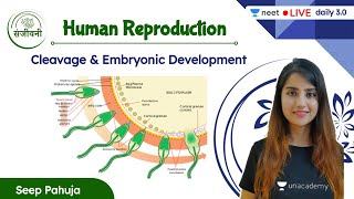 Cleavage amp Embryonic Development  Human Reproduction  L8  NEET 202223  Seep Pahuja [upl. by Molini902]