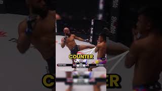 Demetrious Johnson VS Rodtang [upl. by Flatto98]