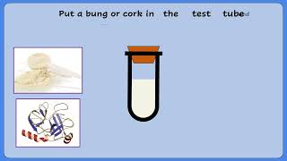 AQA A LEVEL BIOLOGY  REQUIRED PRACTICAL 1 ENZYME CONTROLLED REACTION [upl. by Sergo]