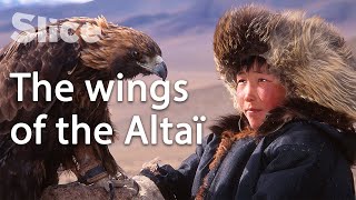 Taming an eagle to become a man in Mongolia  SLICE [upl. by Helbon]