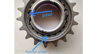 Ratchet and pawl mechanism freewheel [upl. by Larok]