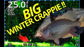 WINTER CRAPPIE FISHING with 164th oz JIGS [upl. by Varuag]