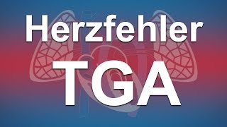 Herzfehler einfach erklärt Transposition der großen Arterien TGA [upl. by Fernald214]