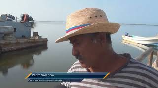 Peces muertos en laguna de Chautenango [upl. by Oliver]