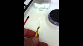 Wire insulation fire test  PVC vs TPE vs PTFE [upl. by Aramanta258]