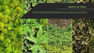 Jardins Verticais Como são Instalados e opções disponíveis Vertical Garden [upl. by Gautious]