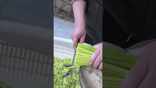 Simple tool to cut vegetables quickly and neatly farming shorts [upl. by Ydnarb481]