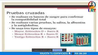 𝗖𝗨𝗥𝗦𝗢 𝗚𝗥𝗔𝗧𝗨𝗜TO LABORATORIO CLÍNICO EN HEMATOLOGÍA📚 [upl. by Ennirak728]