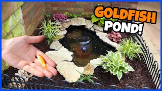 Building A FrontYard Mini Pond [upl. by Ttereve937]