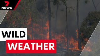 Bushfires destroy homes in western Victoria as wild winds smash Melbourne  7NEWS [upl. by Velvet]