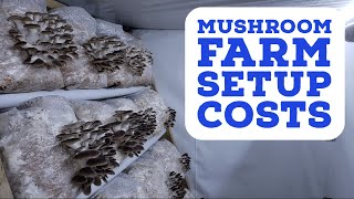 What Does It Really Cost to Setup a Mushroom Farm [upl. by Yoshio219]