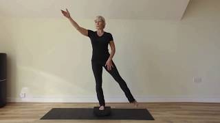 Standing Pilates Hedgehog sequence with Tracey Gjertsen [upl. by Gilbert]