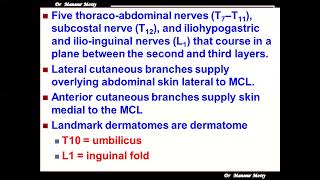 Surgical Anatomy of Anterior Abdominal Wall quot Lecture 2  Rectus Sheath quot [upl. by Rustice]