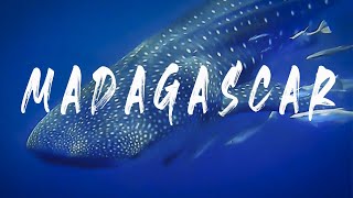 Madagascar diving  Nosy Be [upl. by Muns]