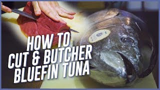 Chefs Show How To Cut and Butcher Bluefin Tuna HonMaguro For Sashimi [upl. by Dib]