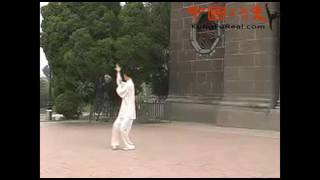 Bagua Eight Palms baguazhang instructional videosold palm and change palm demonstration [upl. by Markus]