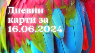 Дневни карти за всички зодиакални знаци за 16062024 [upl. by Yedarb]