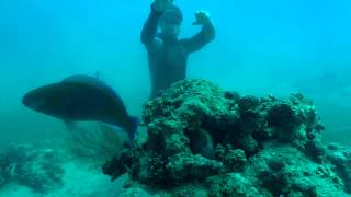 No Bubbles Allowed 2 The Hunt Freediving epic movie Eilat [upl. by Nylanaj]