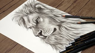 How To Draw A Lion Walking  Step By Step [upl. by Ydwor422]