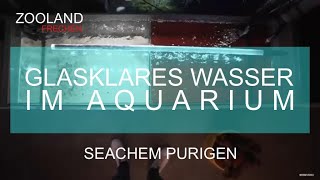 GLASKLARES WASSER Seachem Purigen im Aquarium [upl. by Viviana923]