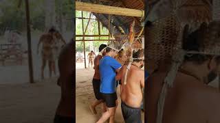 Ritual da Formiga Tucandeira na Amazônia 2020 [upl. by Leina]