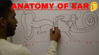 Anatomy of Ear [upl. by Arretal]