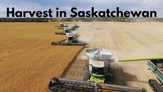 Harvest in Saskatchewan  2020 4K [upl. by Noseimaj]