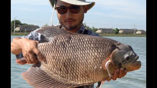 CATCHING UNIQUE THAI FISH  Catch and Cook Thai Style Tilapia [upl. by Sugirdor]