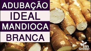 Qual a adubação ideal para o plantio de mandioca branca [upl. by Bikales]