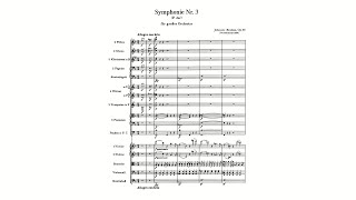 Brahms Symphony No 3 in F major Op 90 with Score [upl. by Yornek829]