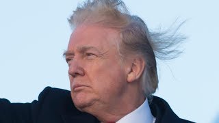 The Truth About Donald Trumps Hair Revealed [upl. by Negyam]