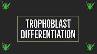 Trophoblast differentiation [upl. by Haugen]