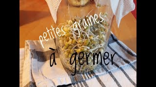 FAIRE GERMER SES GRAINES AVEC UN GERMOIR FAIT MAISON [upl. by Michiko]