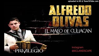 ALFREDO OLIVAS MIX CORRIDOS [upl. by Daren]