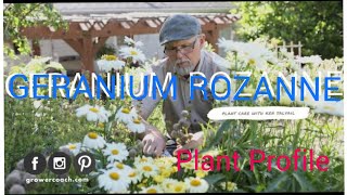 How to Grow Geranium Rozanne  Plant Profile [upl. by Phillips]