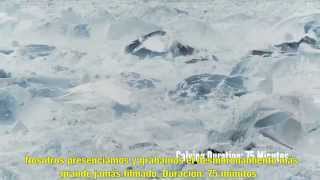 Desprendimiento de un glaciar mas grande del mundo  Del documental quotCHASING ICEquot [upl. by Irene]