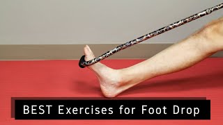 BEST 3 Exercises for Foot Drop Return to Normal Walking [upl. by Noiemad]