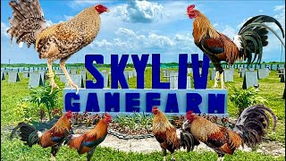 Lets Visit The Farm Of Skyliv Gamefarm [upl. by Eivi]