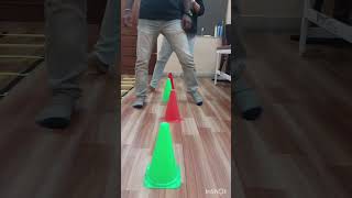 Gait training exercise [upl. by Adnicaj872]