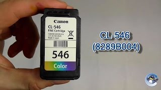 How to Refill Canon CL546 8289B004 Colour Ink Cartridge [upl. by Burrill629]