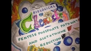 Pentose Phosphate Pathway and Glutathione Reduction  Biological Chemistry  Video 12 [upl. by Pietra]