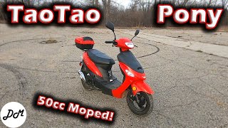 2018 Taotao Pony 50cc Moped – Ownership Update [upl. by Oirottiv]