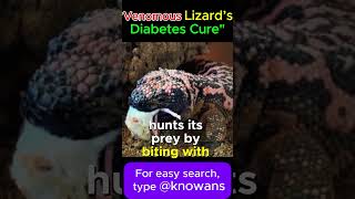 The Gila Monster A Venomous Lizard with Potential for Diabetes Treatment [upl. by Ayenet46]